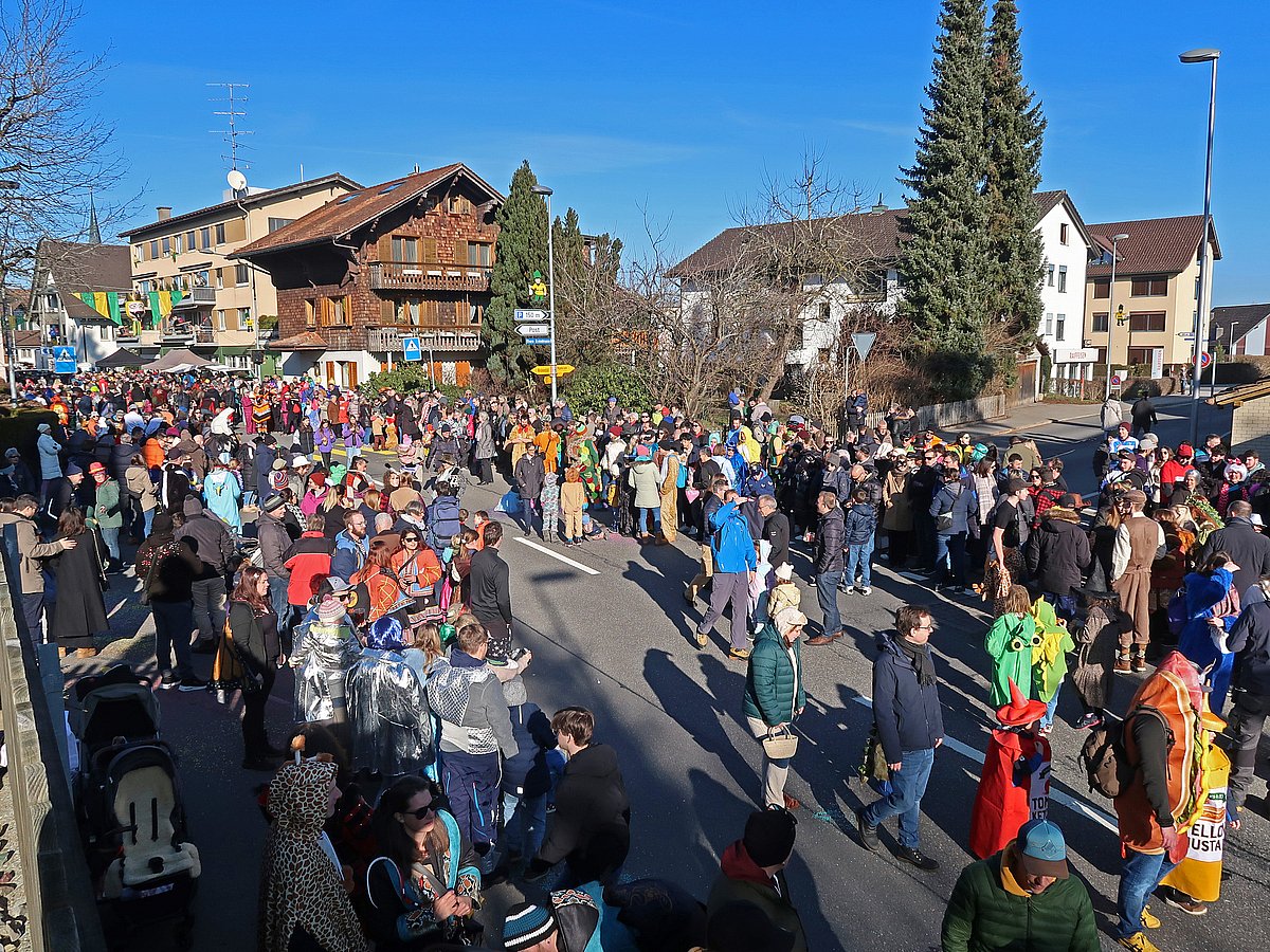 Fasnacht Neuheim 2024 - Fasi-Umzug 2024